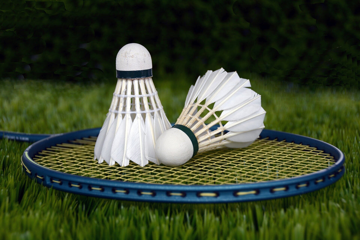 Badminton – Sportco Source For Sports