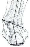 Superfeet Comfort Hockey Skate Footbeds
