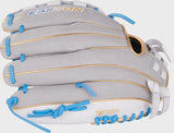 Gray baseball glove with blue laces and Easton branding on a white background