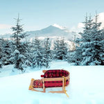 Premium Canadian Ash Hardwood Snow Sled - Sportco