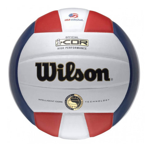 Wilson I-Cor Volleyball