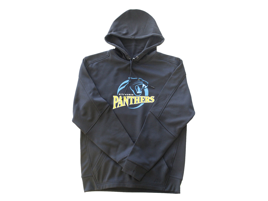 Panthers hoodie 2025